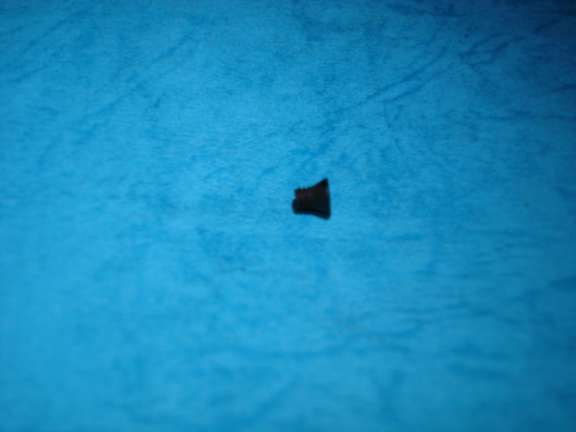 TORNILLO SIRUBA COS BOLSA CUCHILLA SI 6001829