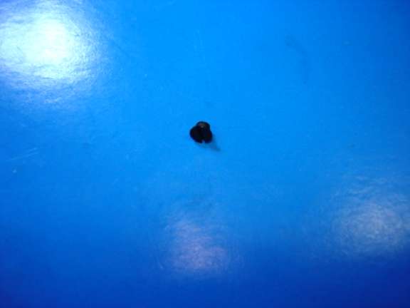 TORNILLO JUKI ATRACADORA CH AGUJ 3/32-56 L1,3