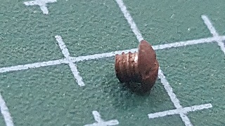 TORNILLO SINGER REG PORTA BOB APOLO METAL CH