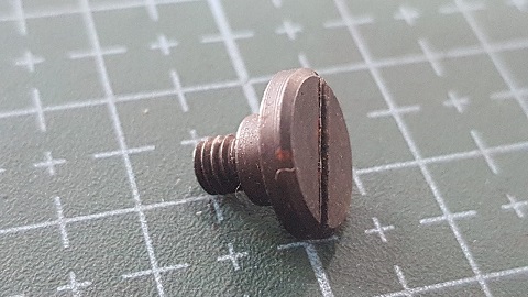 TORNILLO SUJETADOR DE LA PLACA GN2000