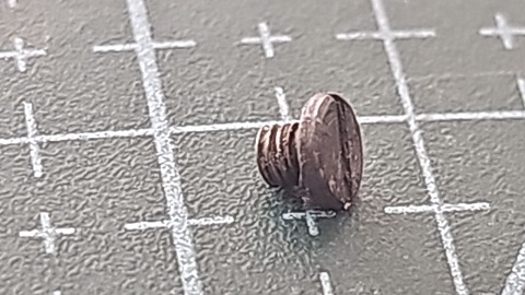 TORNILLO REECE M2.5 L= 2.5