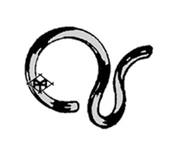 GUIA HILO DE LA BARRA DE AGUJA RECTA