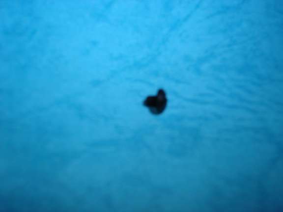 TORNILLO RUEDO INVISIBLE