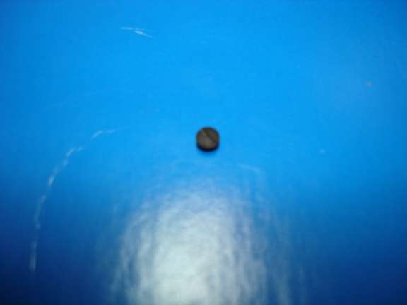 TORNILLO SUJETADOR CHAPITA TENSOR PB REFREY